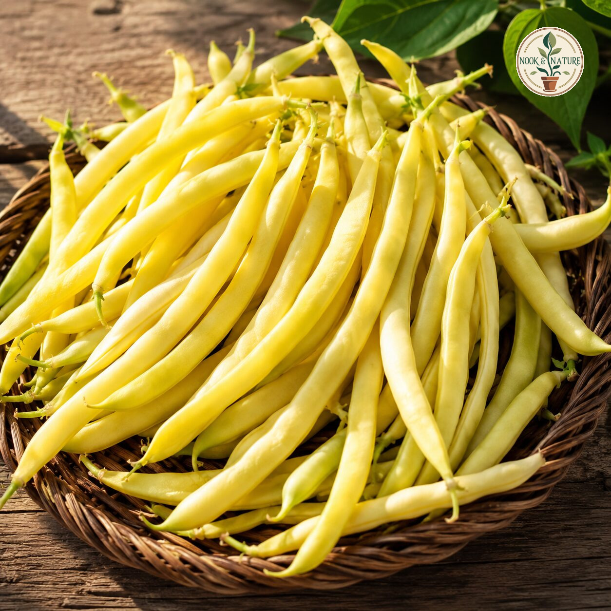 Climbing Beans Golden Wax Seeds - Nook & Nature