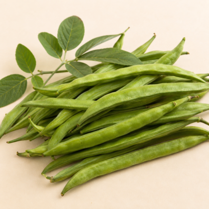 Cluster Beans (Guar) Seeds - Nook & Nature