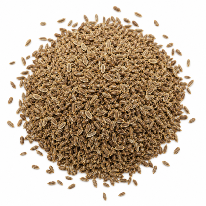 Dill (Suva) Seeds - Nook & Nature