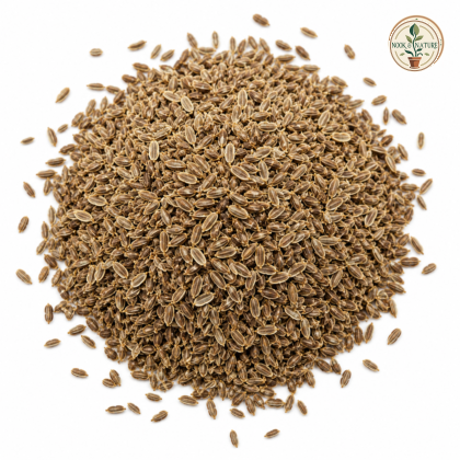 Dill (Suva) Seeds - Nook & Nature