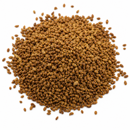 Garden Cress (Halim) Seeds - Nook & Nature