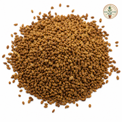 Garden Cress (Halim) Seeds - Nook & Nature