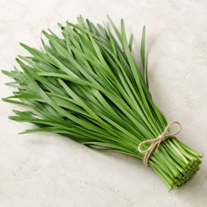 Garlic Chives Seeds - Nook & Nature