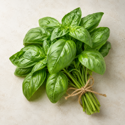 Green Basil Large Leaf Seeds - Nook & Nature