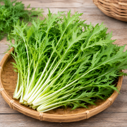 Green Mizuna Seeds - Nook & Nature