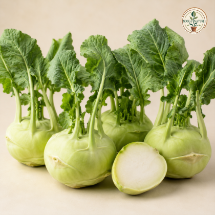 Knol Khol (Kohlrabi) Seeds - Nook & Nature