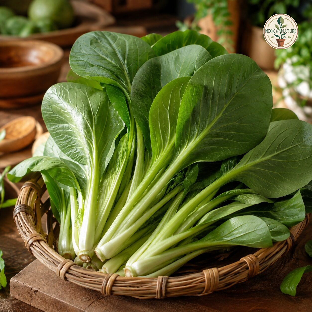 Komatsuna Asia Green Leaf Seeds - Nook & Nature