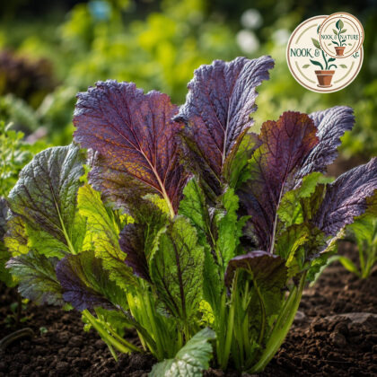 Mustard Asia Salad Red Giant Seeds - Nook & Nature