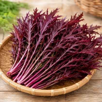 Red Mizuna Seeds - Nook & Nature