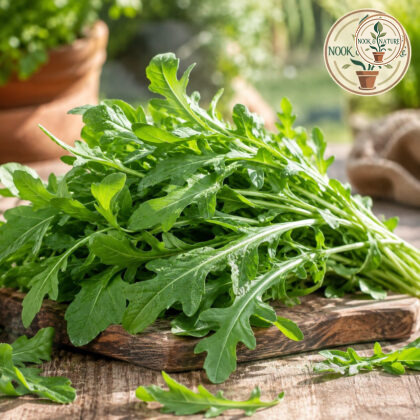 Rocket Rucola Leaves Seeds - Nook & Nature