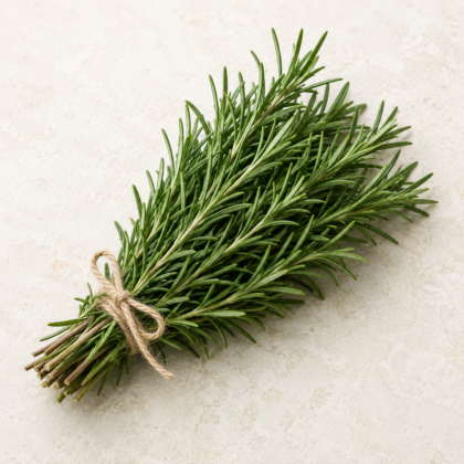 A fresh bundle of rosemary tied with twine on a neutral surface.