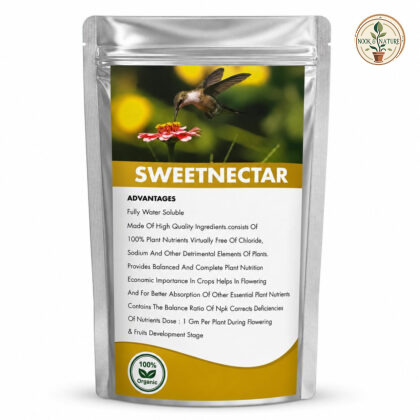 Sweet Nectar - Nook & Nature