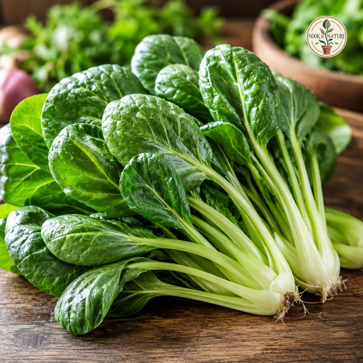 Tatsoi Asia Greens Seeds - Nook & Nature