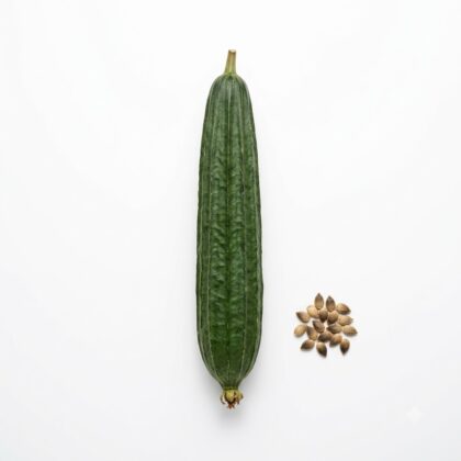 A single green angled luffa gourd with a small pile of its seeds on a white background.