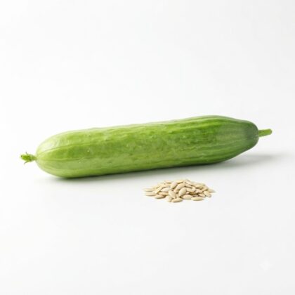 Curled Parsley Seeds