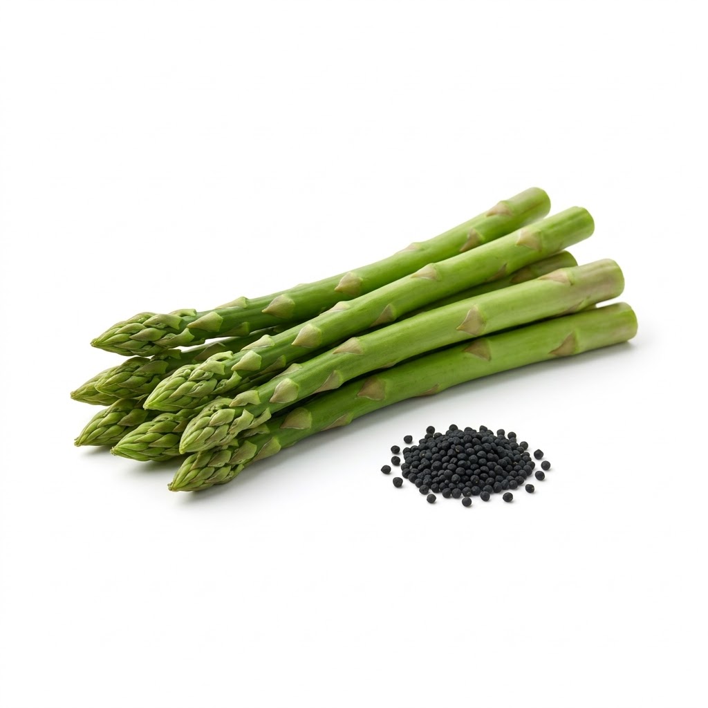 Asparagus - Image 6