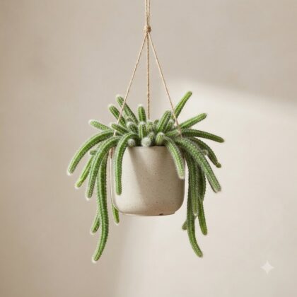 Chamaecereus silvestrii cactus hanging in a light speckled ceramic pot with twine against a neutral background.
