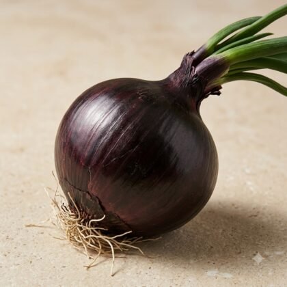 Onion Star Z Black