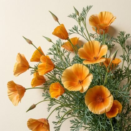 A bouquet of bright orange California poppy flowers with delicate green foliage against a neutral background.