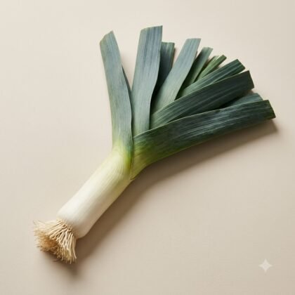 Leek Seeds