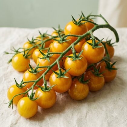 Yellow Cherry Tomato