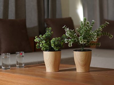 Two small potted plants in wood-grain planters on a wooden coffee table with two glasses of water, with a sofa and cushions