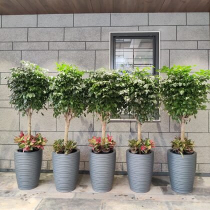 VIVA Long Round Planter Pot 25"