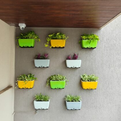Colorful rectangular wall planters with various green plants mounted on a textured grey wall.