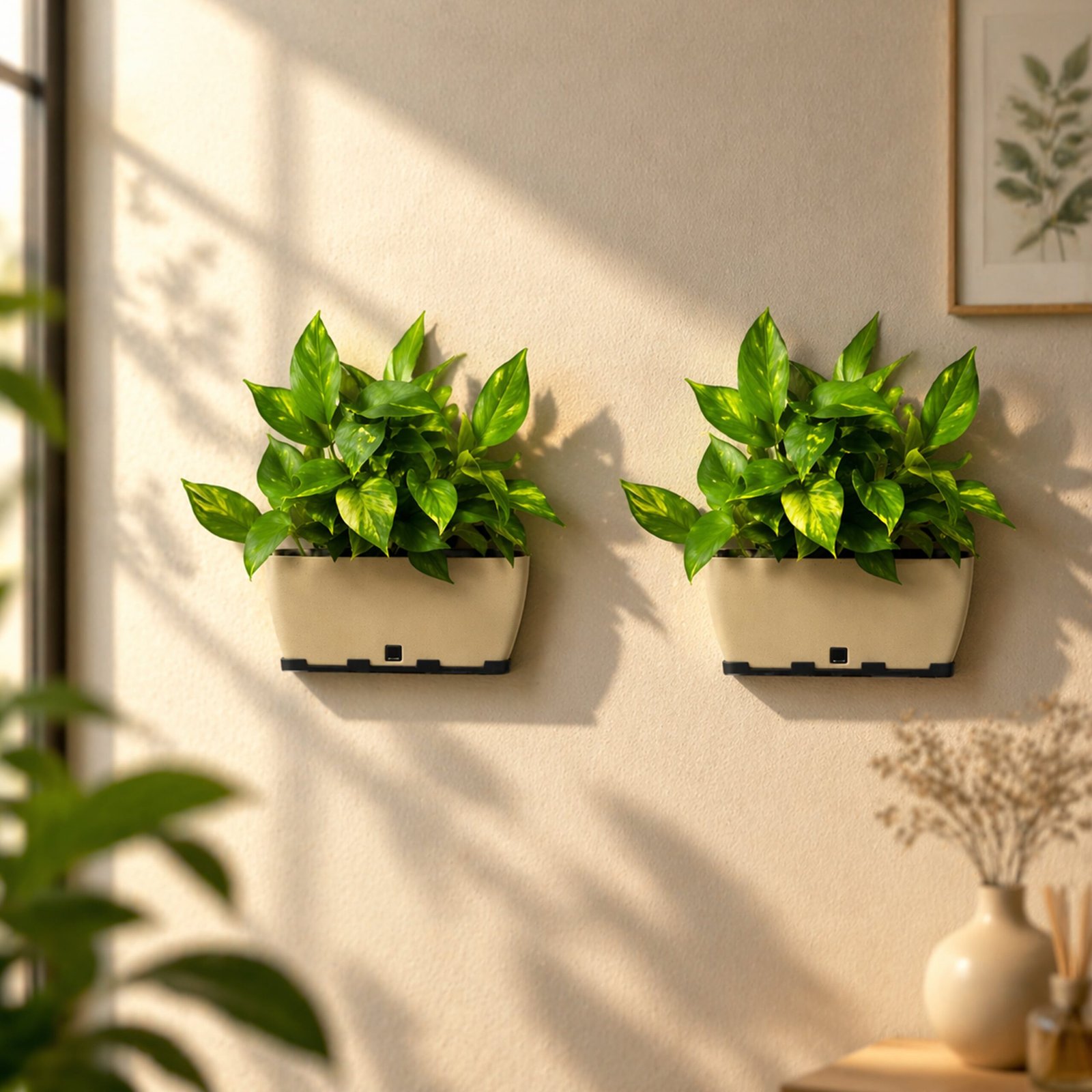 Two light-colored rectangular planters mounted on a wall, filled with green leafy plants in sunlight.