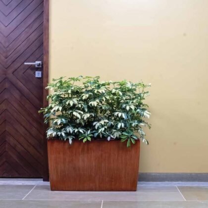 Quadro Planter