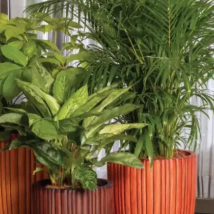 Rib Vertical Planter