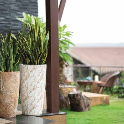 Cono Planter
