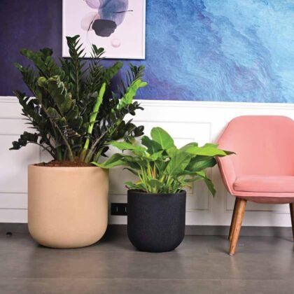 Oswald Pro Planter