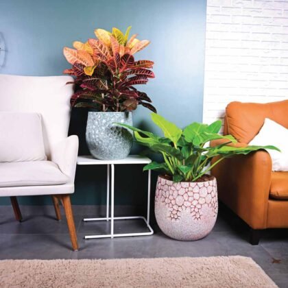 Petra Planter