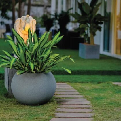 Globus Planter