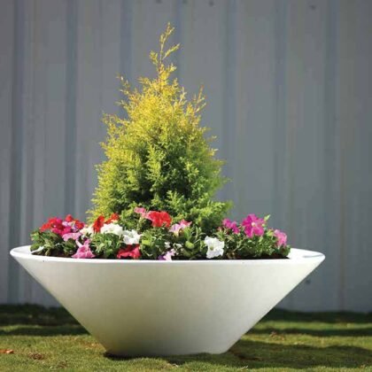 Bowl Planter