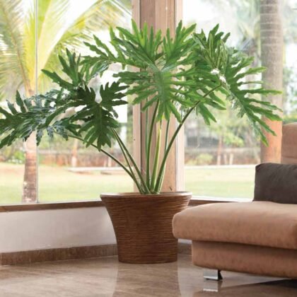 Ringstone XL Planter
