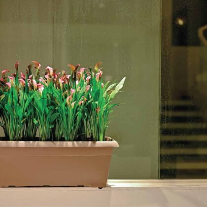 Window Planter