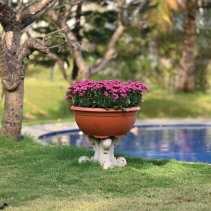 Bowl Planter