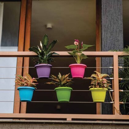 Bello Wall Planter