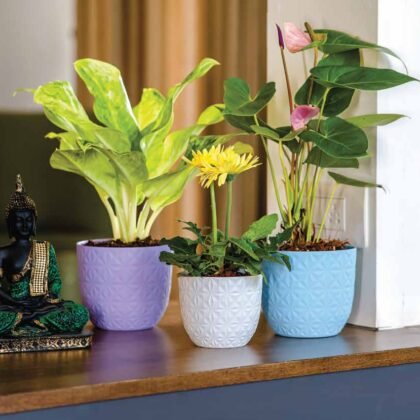 Verona Diamond Planter