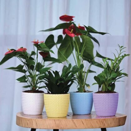 Capri Planter