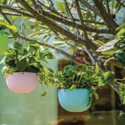 Capri Hanging Planter