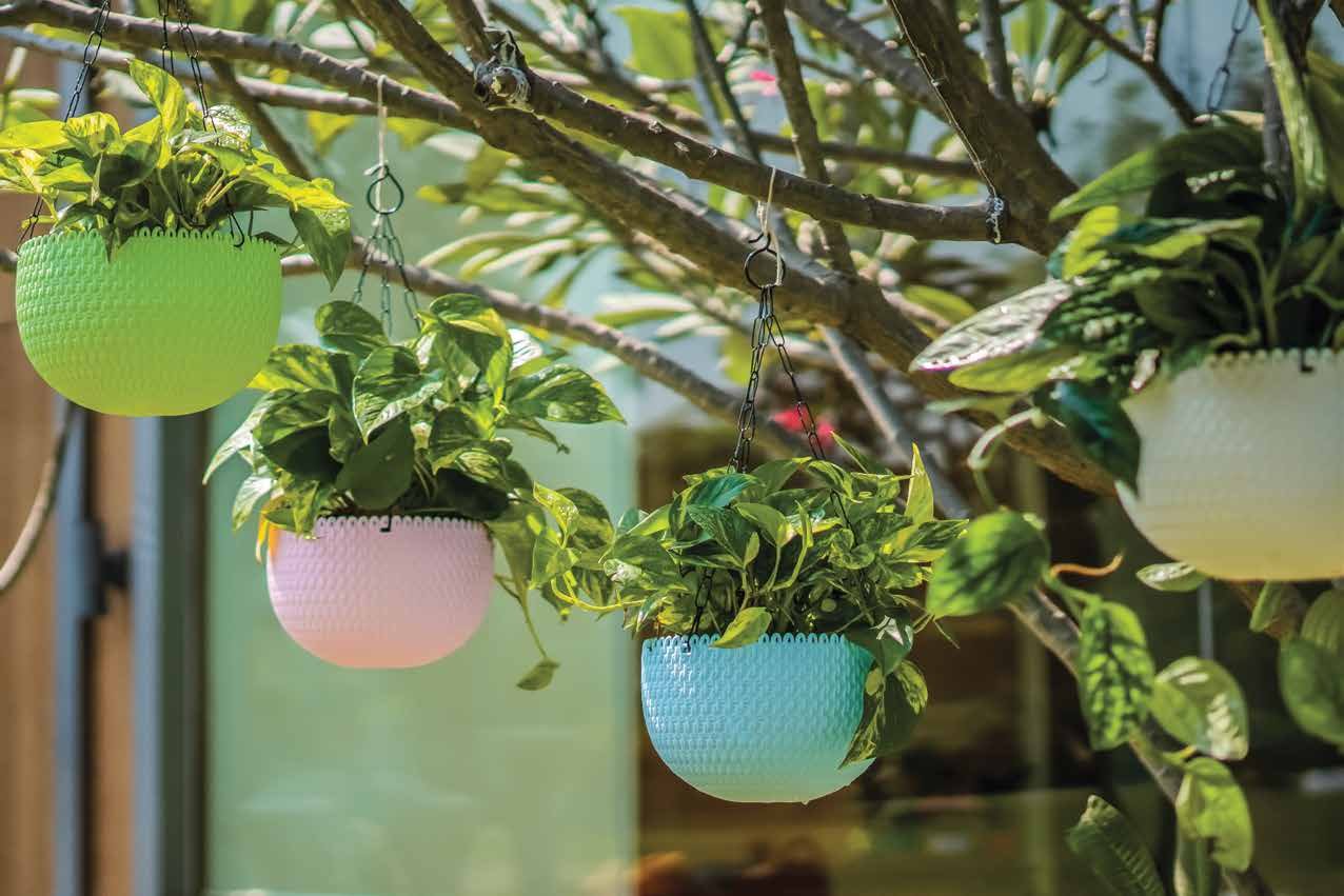 Capri Hanging Planter