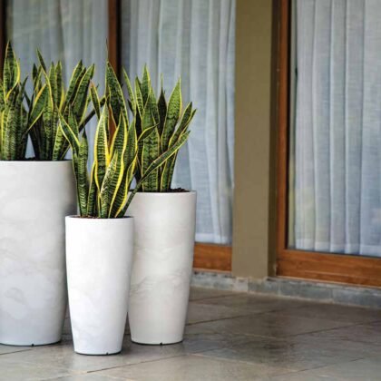 Venice New Finish Planter