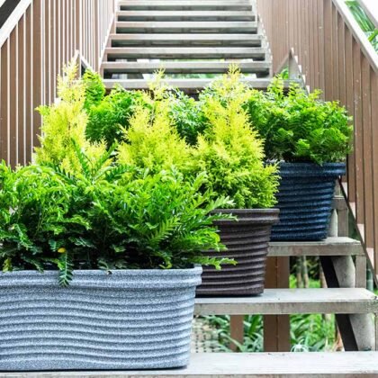 Florence rectangular planters with green plants on outdoor steps.