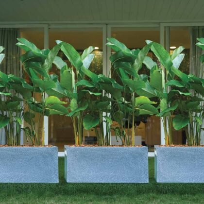 Quebec Rectangle Planter