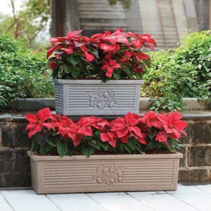 Flora Rectangle Planter