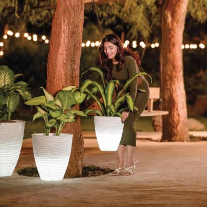 Havana Illuminated Planter