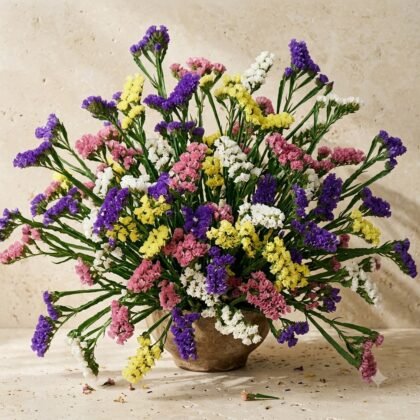 Statice Pacific Mixed Flower Seeds
